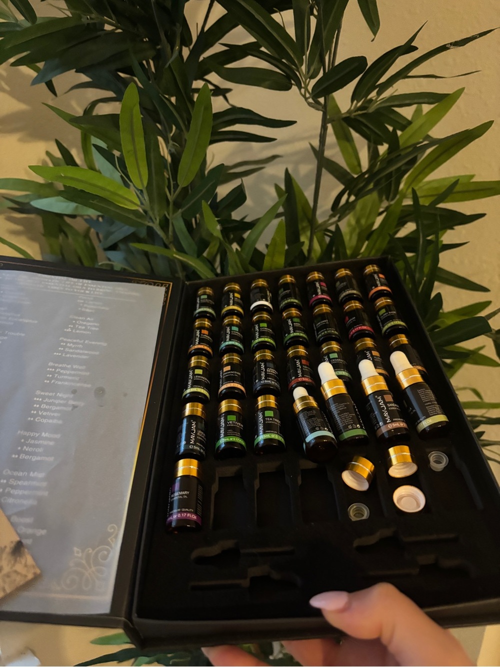 Essential Oil Kit - Black Carry Case with Gold-Trim Bottles